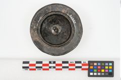 Foto von Bronzephalere (NHMW-PRAE-025078)